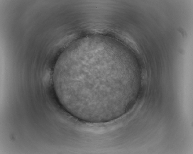 X0000113180029200909181903