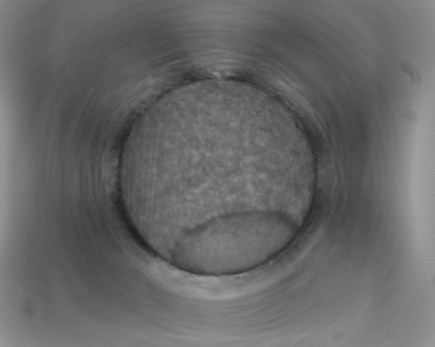 X0000113180030200909181903