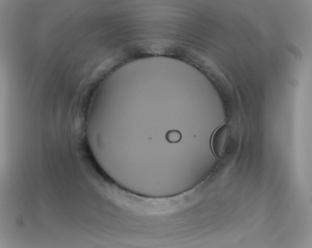 X0000113180031200909181903