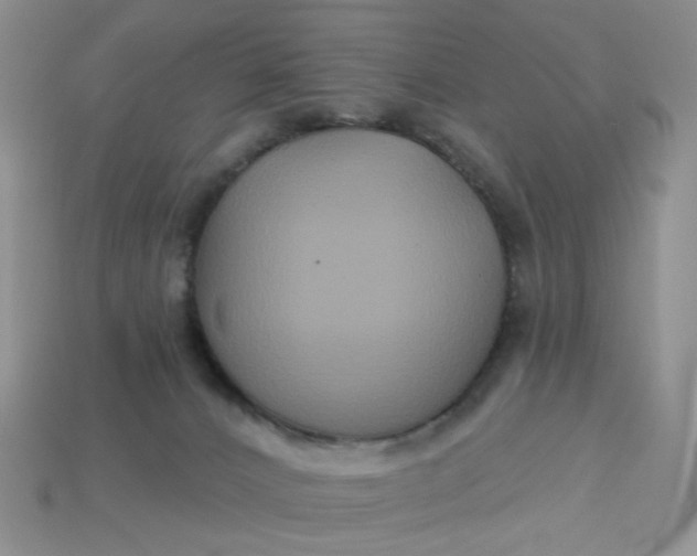 X0000113180032200909181903