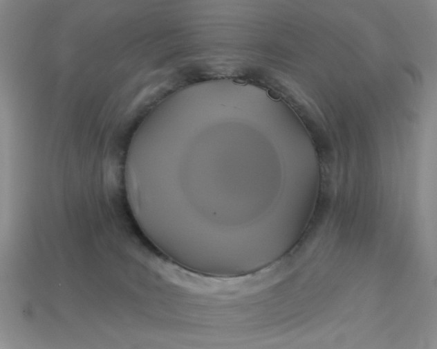 X0000113180035200909181903