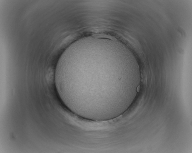 X0000113180036200909181903