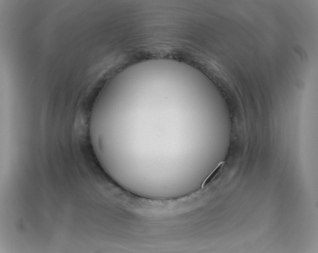 X0000113180037200909181903