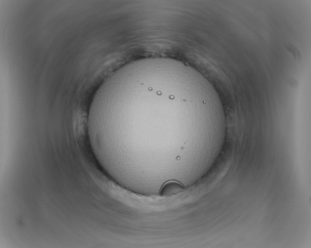 X0000113180038200909181903