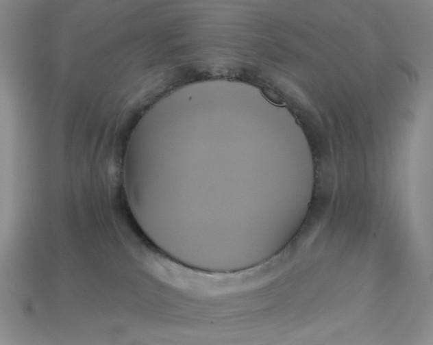 X0000113180039200909181903