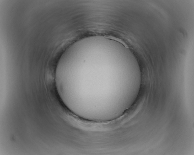 X0000113180040200909181902