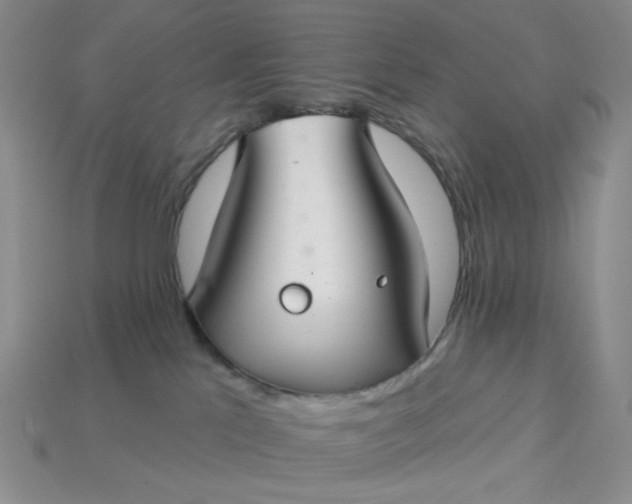 X0000113180041200909181902