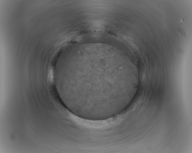 X0000113180042200909181902