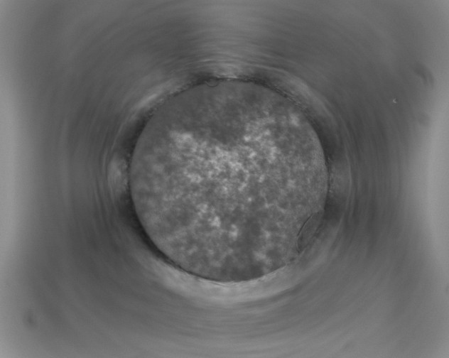 X0000113180043200909181902