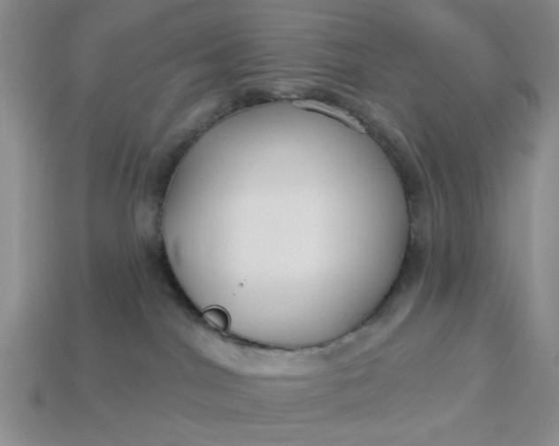 X0000113180044200909181902