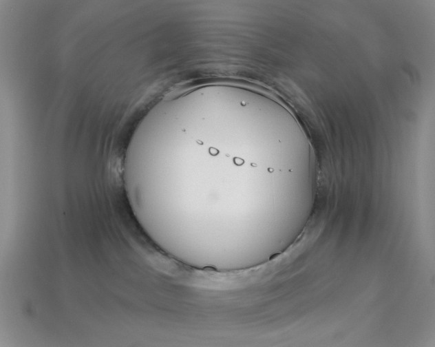 X0000113180045200909181902