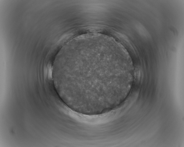 X0000113180046200909181902