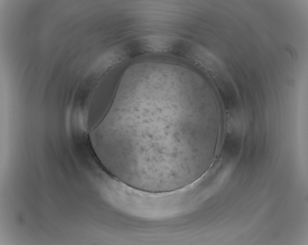 X0000113180047200909181902