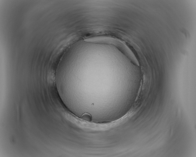 X0000113180048200909181902