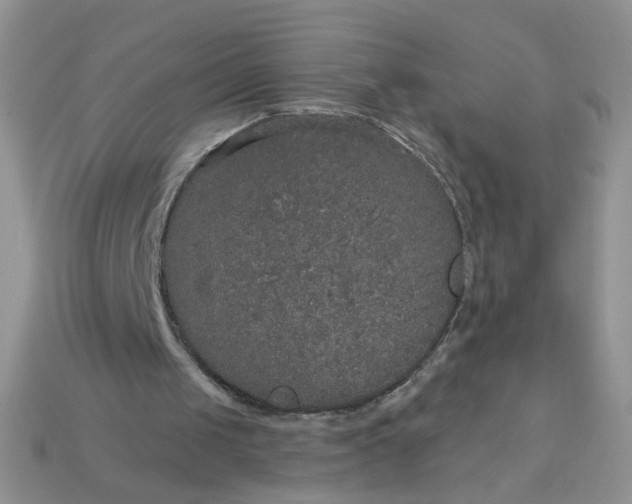 X0000113180049200909181902