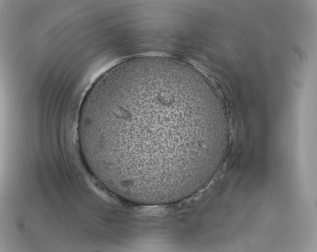 X0000113180050200909181902