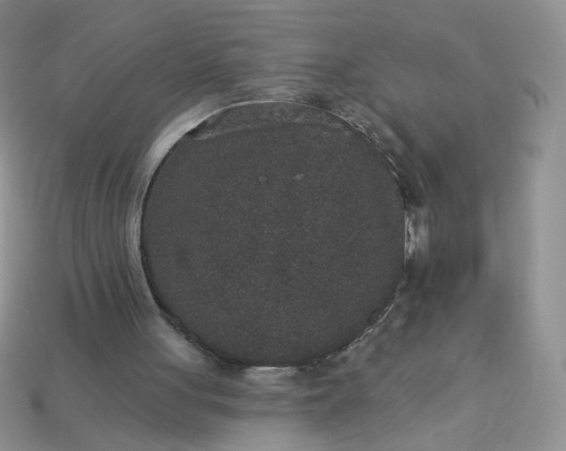 X0000113180051200909181902