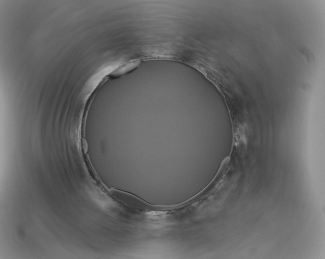 X0000113180052200909181902