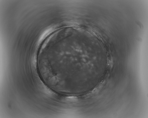 X0000113180053200909181902