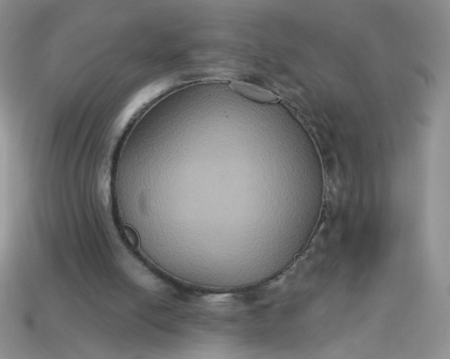 X0000113180054200909181902