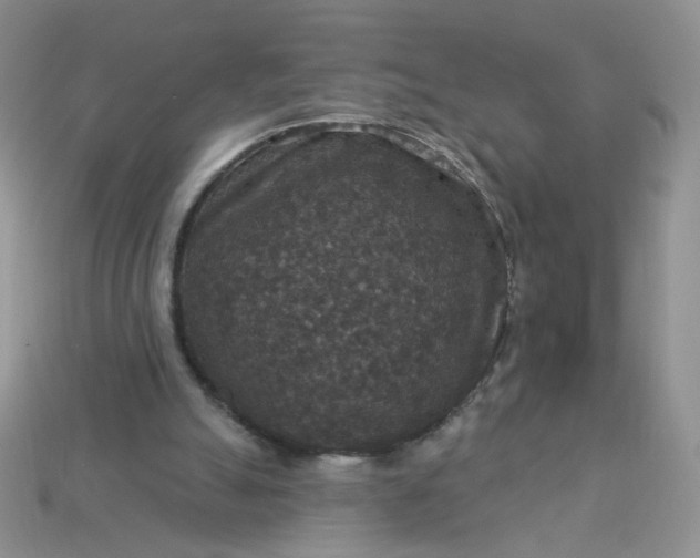 X0000113180055200909181902