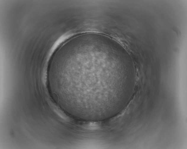 X0000113180056200909181902