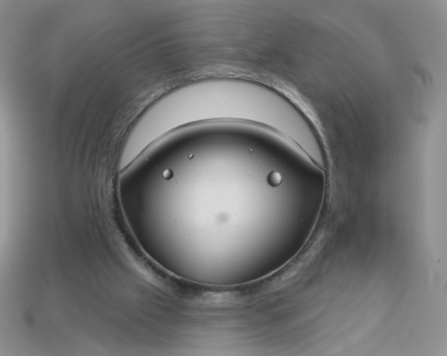 X0000113180057200909181902