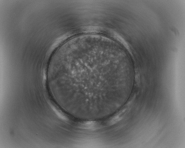 X0000113180059200909181902