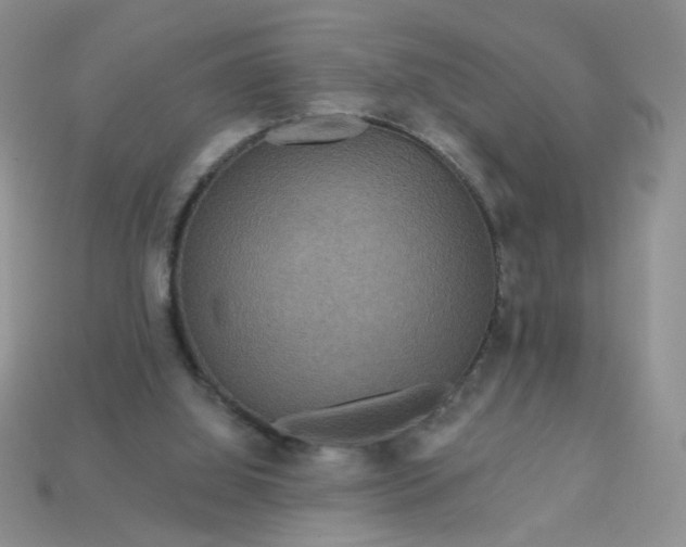 X0000113180060200909181902