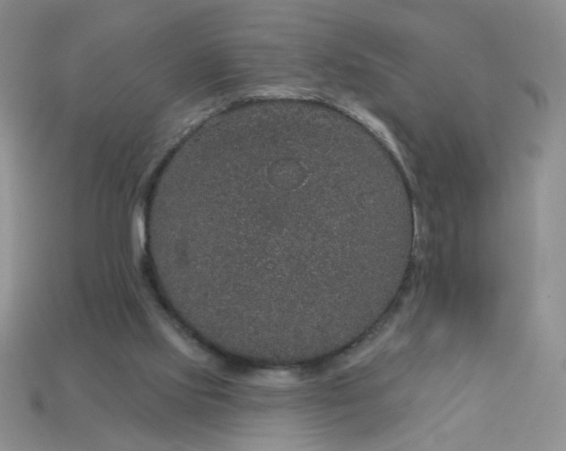 X0000113180061200909181902