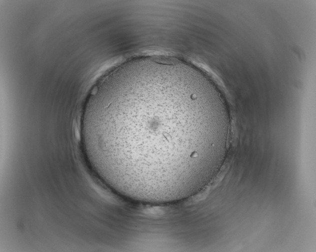 X0000113180062200909181902