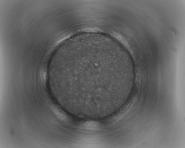 X0000113180063200909181902