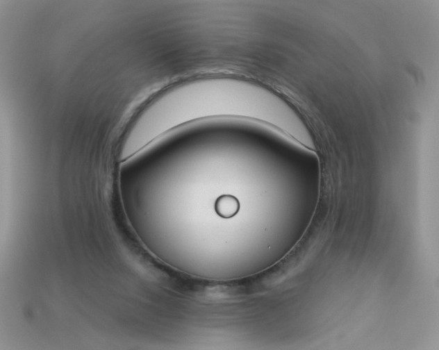 X0000113180064200909181902