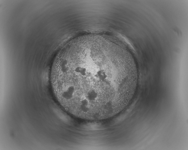 X0000113180065200909181902