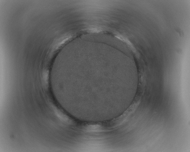 X0000113180066200909181902