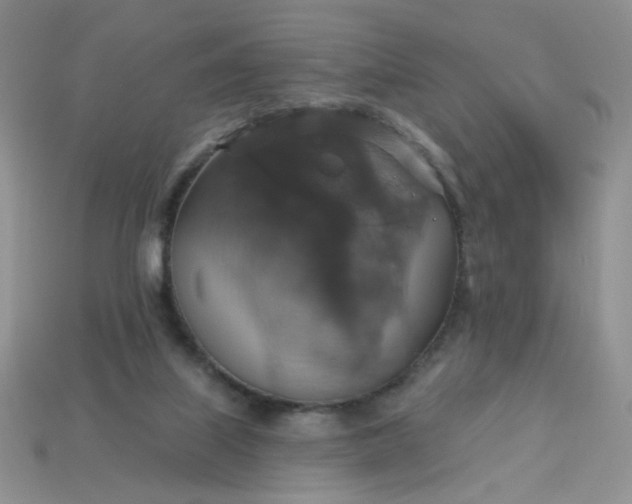 X0000113180067200909181902