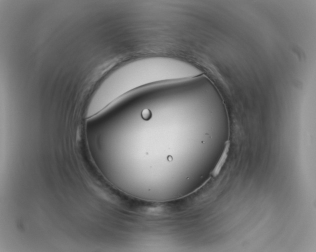 X0000113180068200909181902