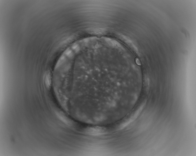 X0000113180069200909181902