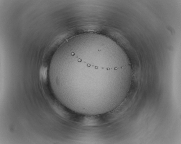 X0000113180070200909181902