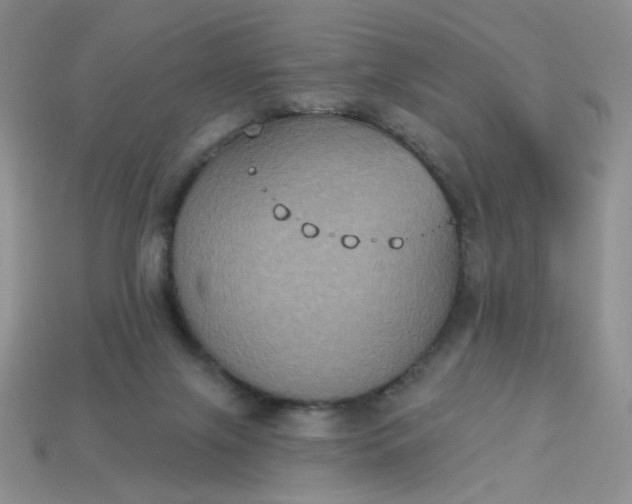 X0000113180071200909181902