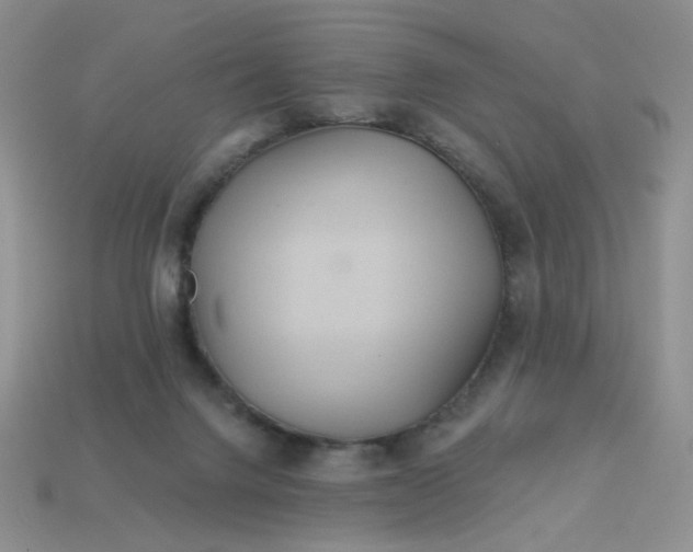 X0000113180072200909181902