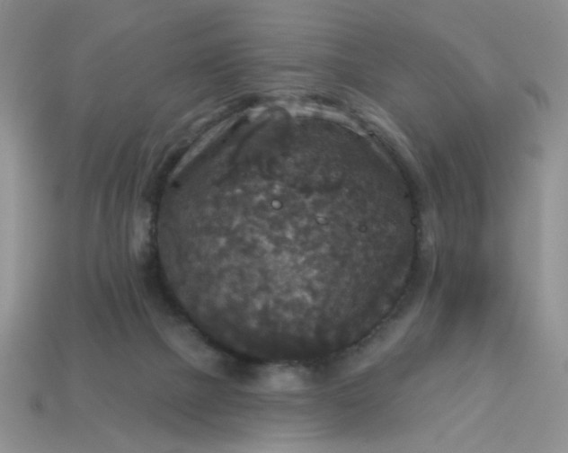 X0000113180073200909181902