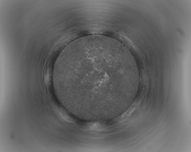 X0000113180074200909181902