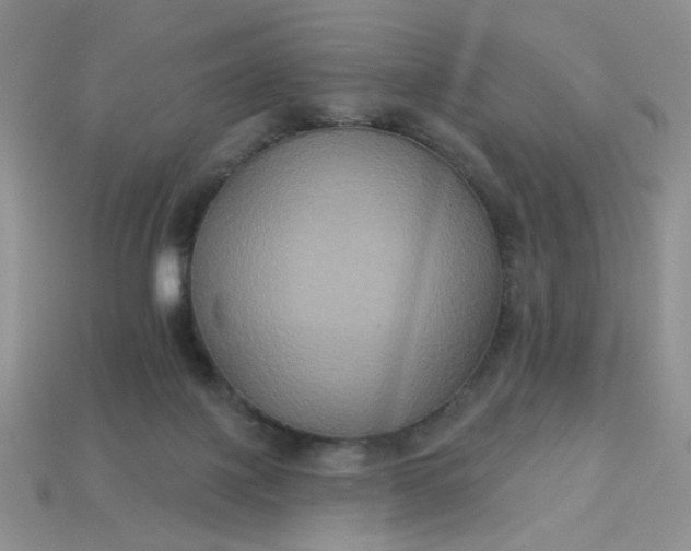 X0000113180075200909181902