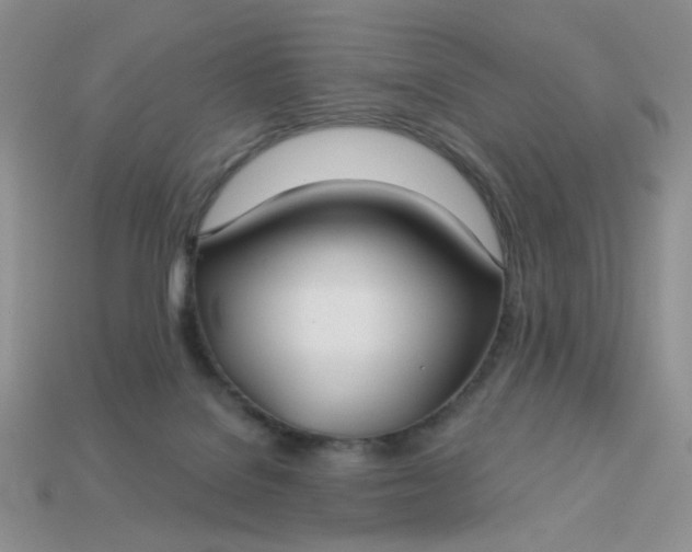 X0000113180076200909181902