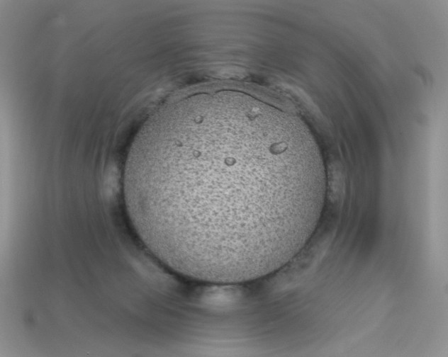 X0000113180077200909181902