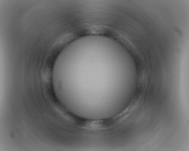 X0000113180078200909181902