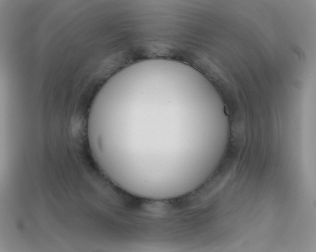 X0000113180079200909181902