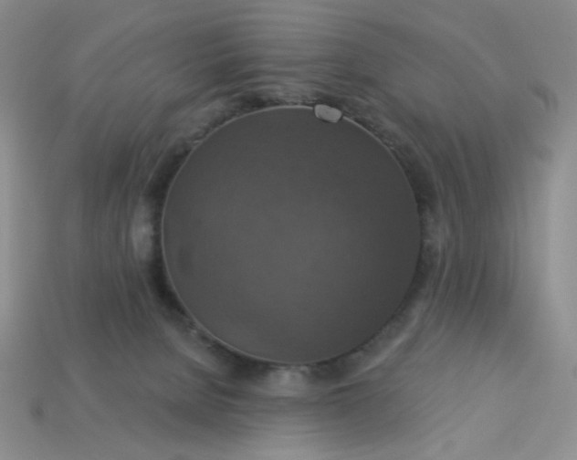 X0000113180080200909181902