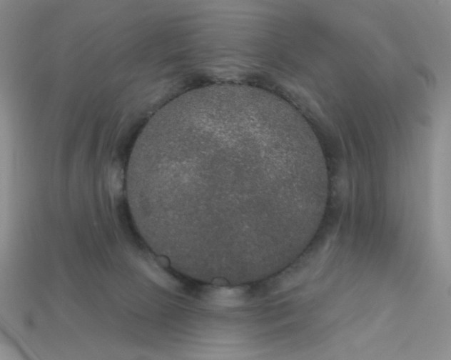 X0000113180081200909181902